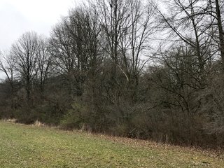 Property photo 29 - LAND AUCTION - 156.63+/- ACRES OFFERED IN 7 TRACTS IN ALLEN COUNTY, INDIANA